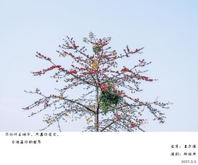 IMGP9831-编辑