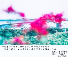IMGP0009-编辑