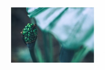 IMGP0556-编辑