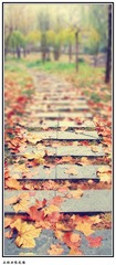 IMG_1620_conew1.jpg