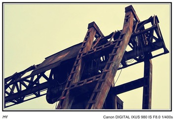 IMG_3664_conew1.jpg