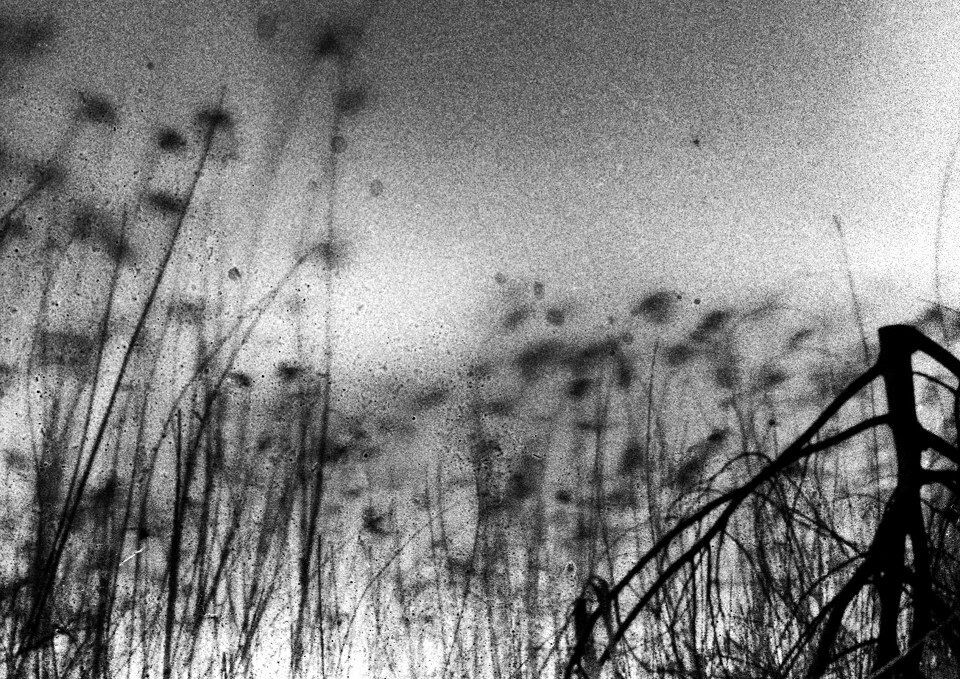 诗意的感伤NO.16Poetic pathos No.16<br />
