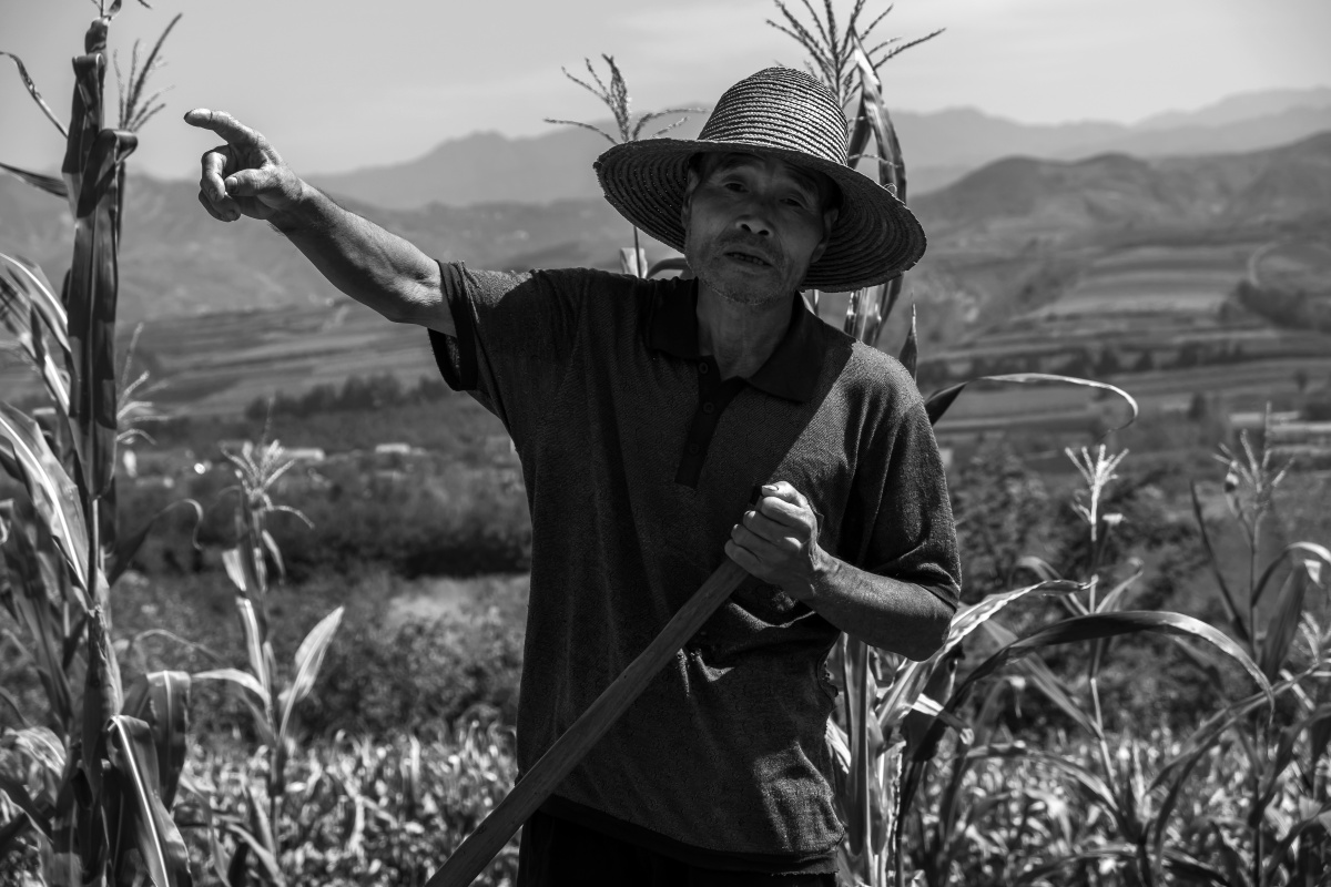 上山的路上被前面两位老人的背影所吸引,老大爷扛着两个锄头走在前面