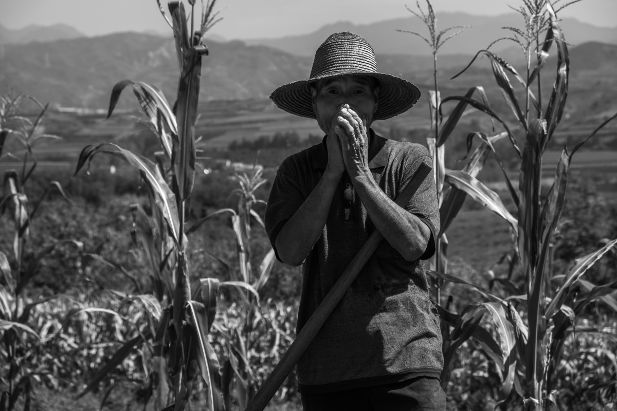 在上山的路上被前面两位老人的背影所吸引,老大爷扛着两个锄头走在