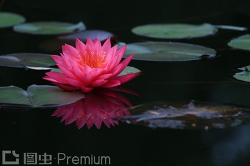 PHY_2629