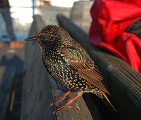 DSC_0890.jpg