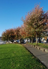 DSC_0944.jpg