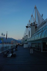 DSC_0784.jpg