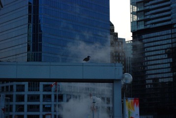 DSC_0786.jpg