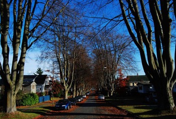 DSC_1368.jpg