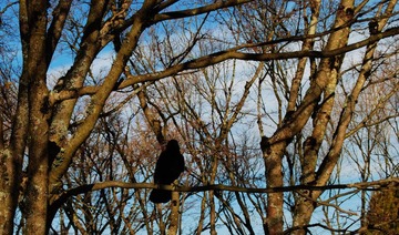 DSC_1372.jpg