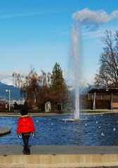 DSC_1383.jpg