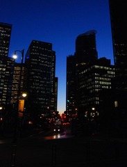 DSC_1499.JPG