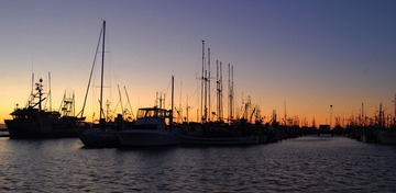 DSC_2022.jpg