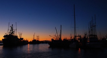 DSC_2057.jpg