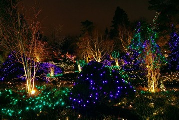 DSC_2203.JPG