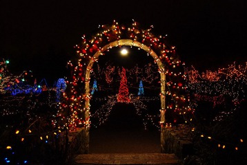 DSC_2249.JPG