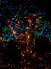 DSC_2266.JPG