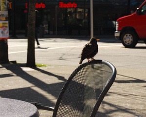 DSC_3534.jpg