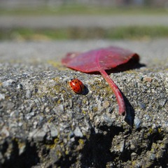 DSC_3541.jpg