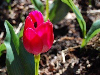 DSC_3554.jpg