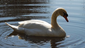 DSC_3582.jpg