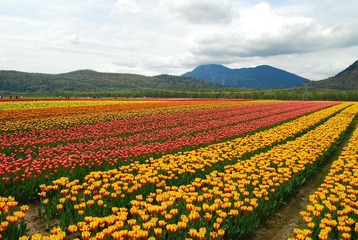 DSC_3933.jpg