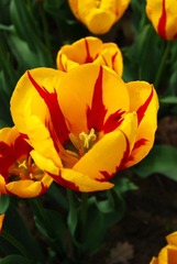 DSC_3934.jpg