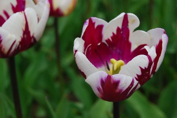 DSC_3983.jpg