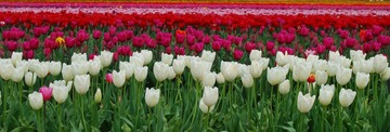 DSC_3986.jpg