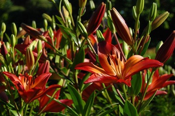 DSC_5068.jpg
