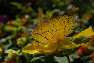 DSC_5072.jpg