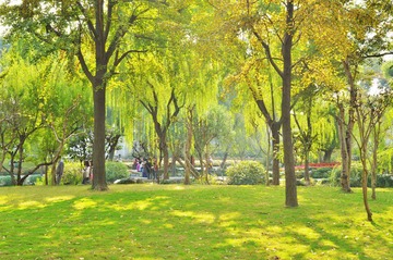 DSC_2922.jpg1.jpg