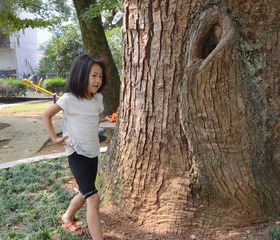 DSC_1625.jpg1.jpg