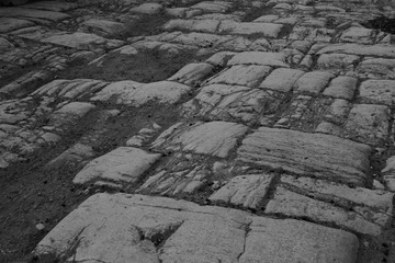 _MG_0770.JPG