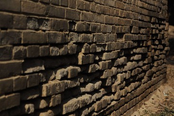 _MG_64211.jpg