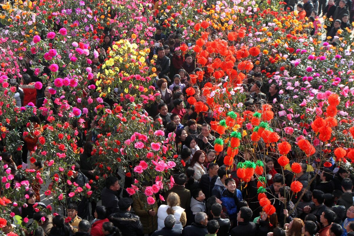 图6-4、迎花树 的“花龙”巡游结束后，村中广场上便又成了花的海洋。