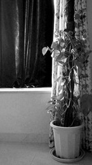 C360_2011-07-02 17-28-28_org.jpg