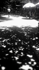 C360_2011-07-27 12-00-08.jpg