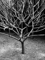 C360_2011-11-27 15-56-38.jpg