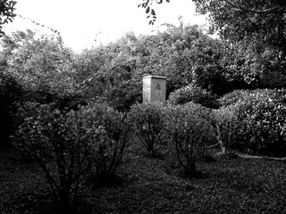 C360_2011-11-27 15-48-09_org.jpg