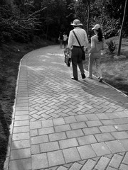 C360_2011-11-27 15-45-59_org.jpg