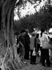 C360_2011-11-27 17-13-48_org.jpg