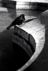 DSC_0603.jpg