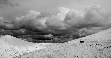 DSC_0221.jpg