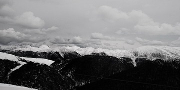 DSC_0194.jpg