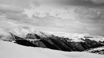 DSC_0172.jpg