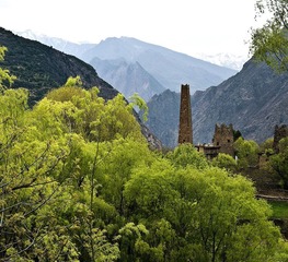 DSC_0463.jpg