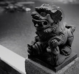 DSC_0037.jpg