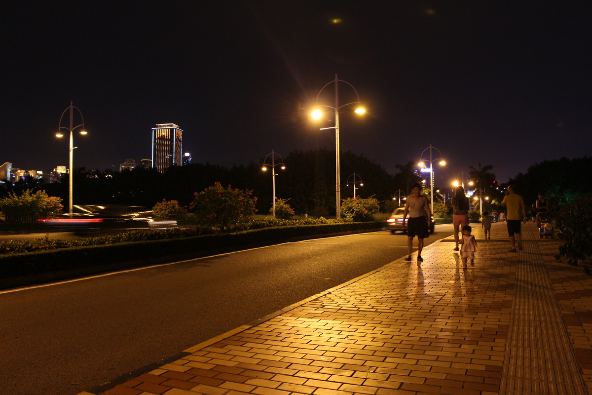 早晨 夜晚 白鹭洲